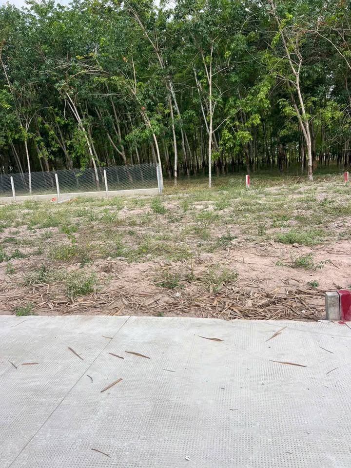 Bán Đất Thổ Cư 93m² Trảng Bàng, Tây Ninh - Giá 480 Triệu, Chính Chủ