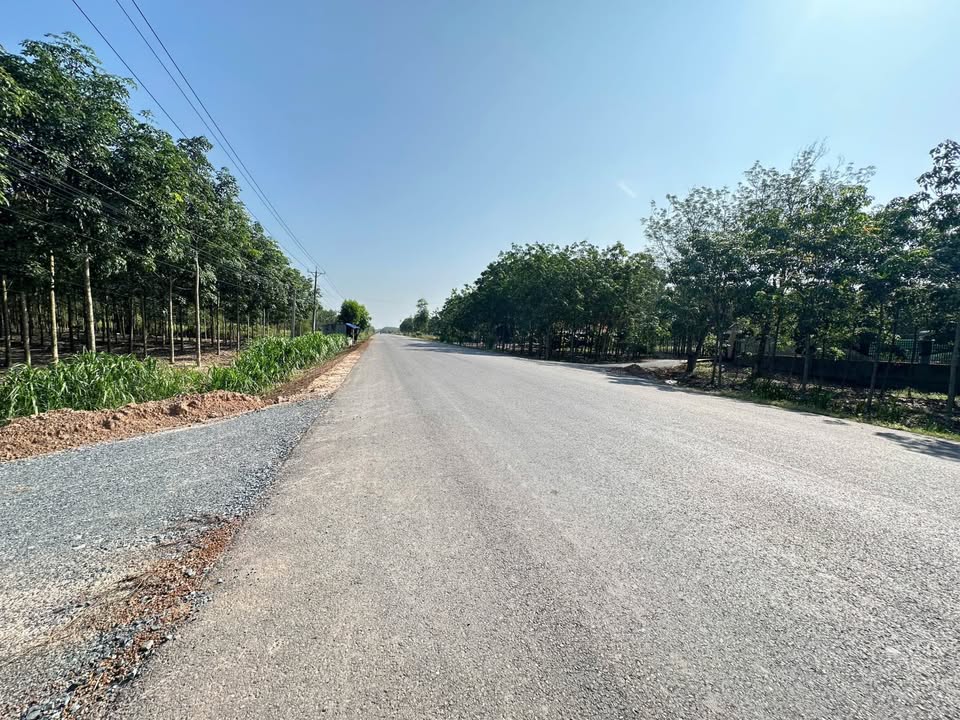 Đất nền Trảng Bàng 1500m² - Sổ hồng chính chủ, giá tốt!