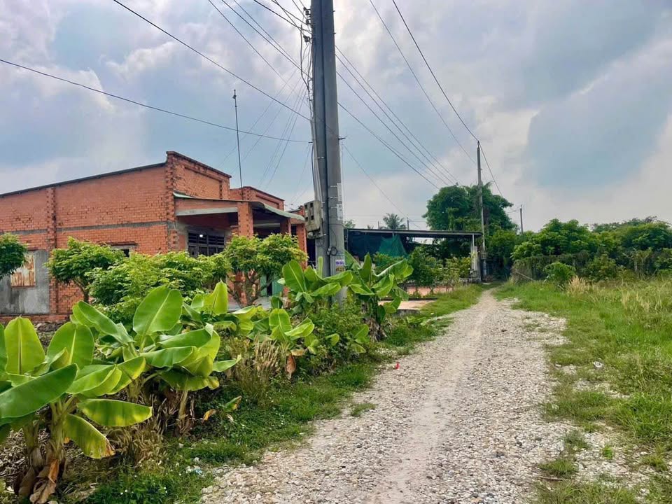 Đất thổ cư 250m² Truông Mít, Tây Ninh - Giá 350 triệu