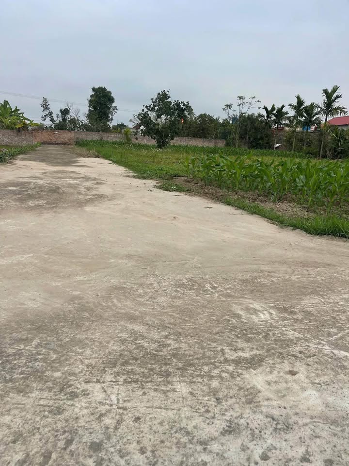 Đất nền Thái Hưng, Thái Thụy 150m² - Đường ô tô, tiềm năng sinh lời