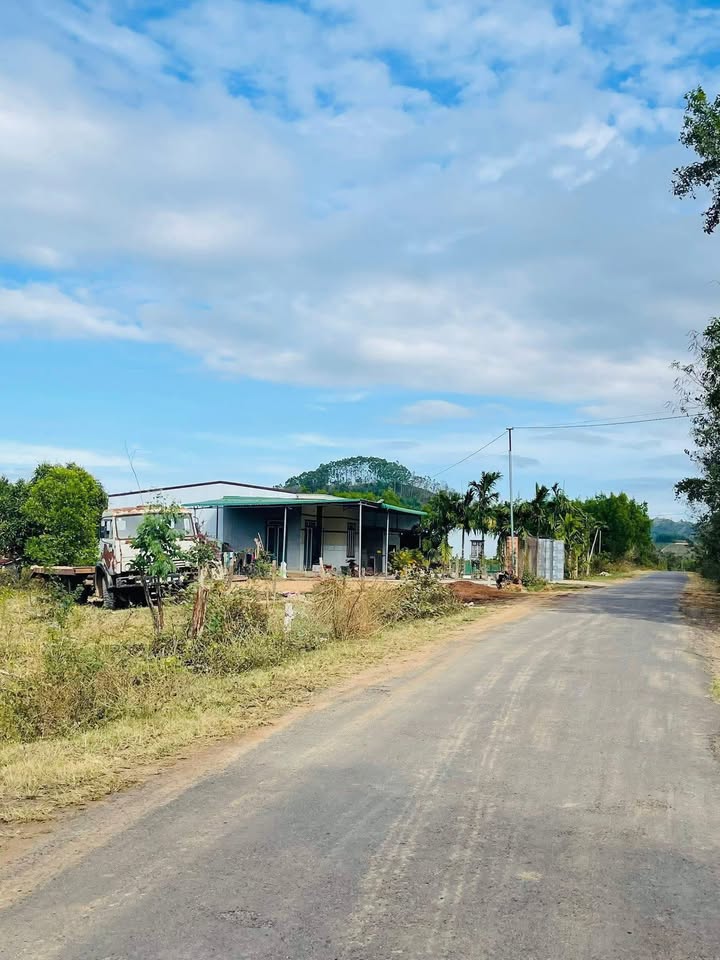 Bán đất 4800m² mặt tiền đường nhựa Qh, Đắk Lắk - Giá 600 triệu
