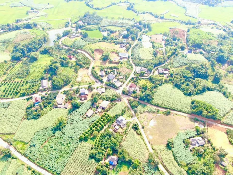 Đất Nền Hoà Bình 225m² - Mặt Tiền Đường Nhựa Suối Hoa