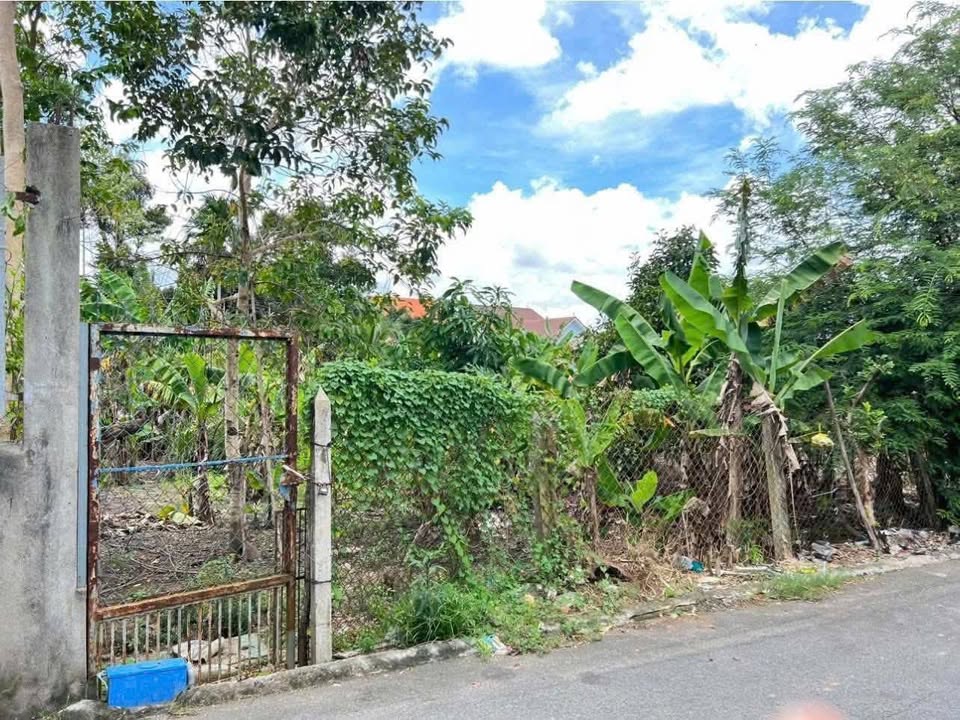 Đất nền Chánh Mỹ 444m² - Sổ đỏ chính chủ, tiềm năng tăng giá!