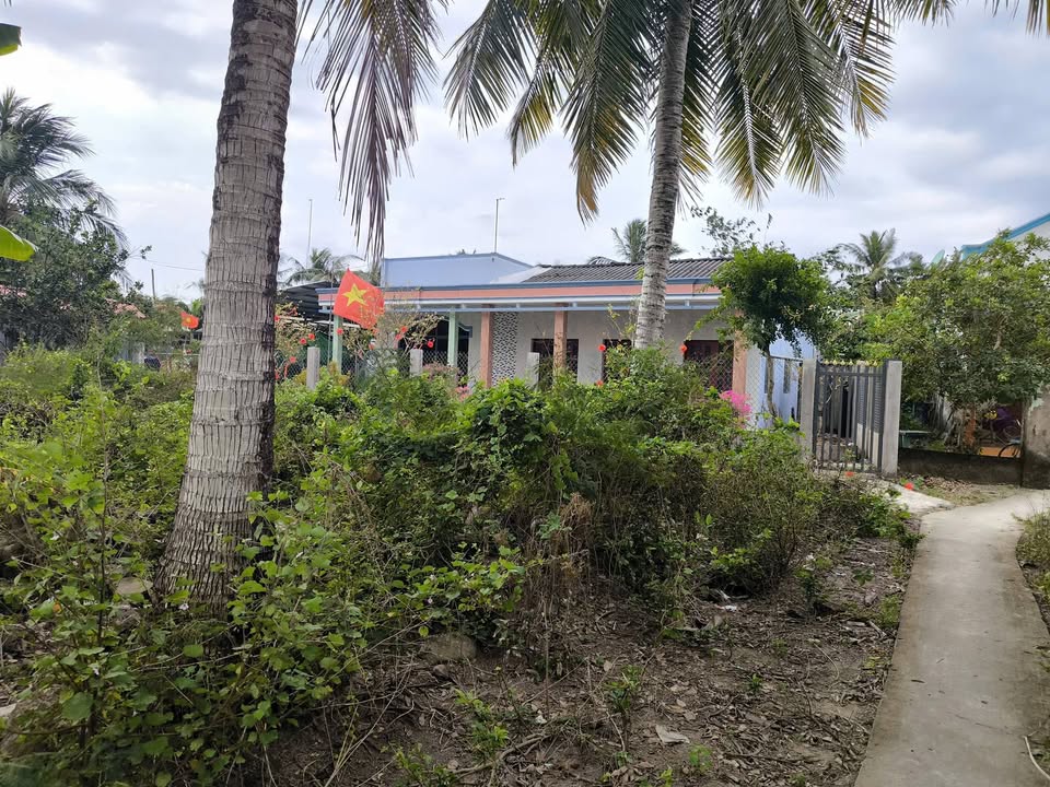 Đất nền Tân Thanh, Giồng Trôm 331m² - Tiềm năng tăng giá!