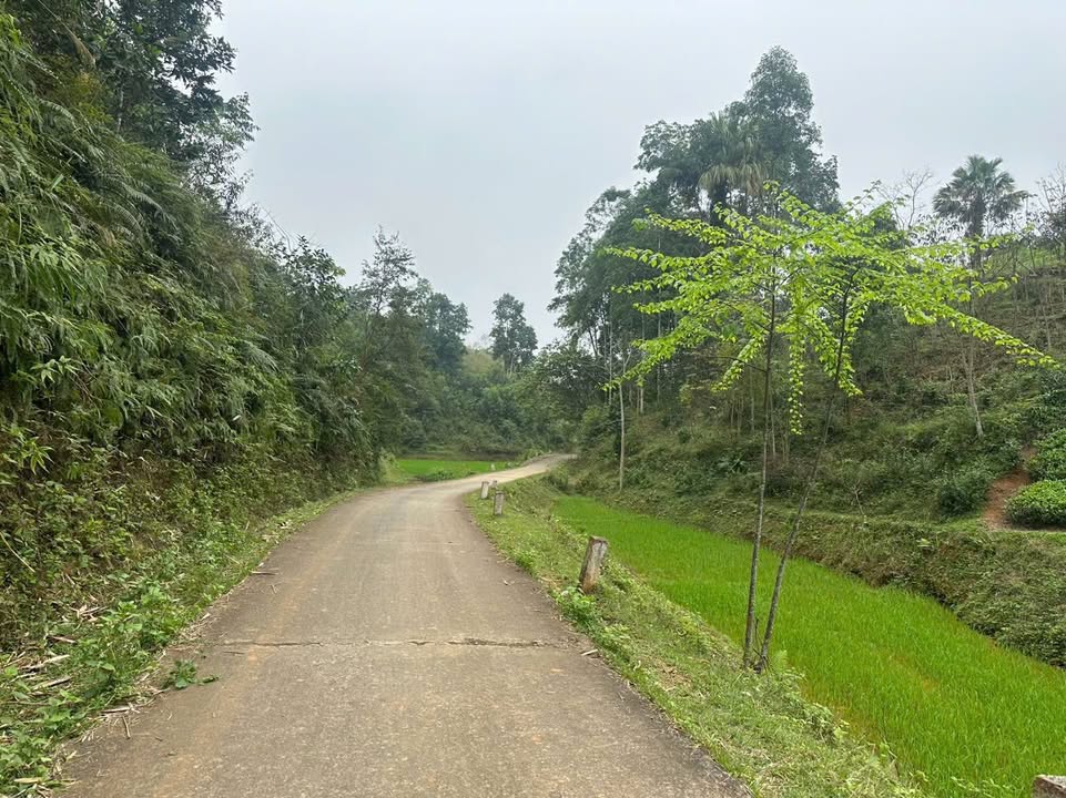 Đất Vườn Nghỉ Dưỡng Long Cốc - 1200m² Giá Chỉ Từ 200 Triệu