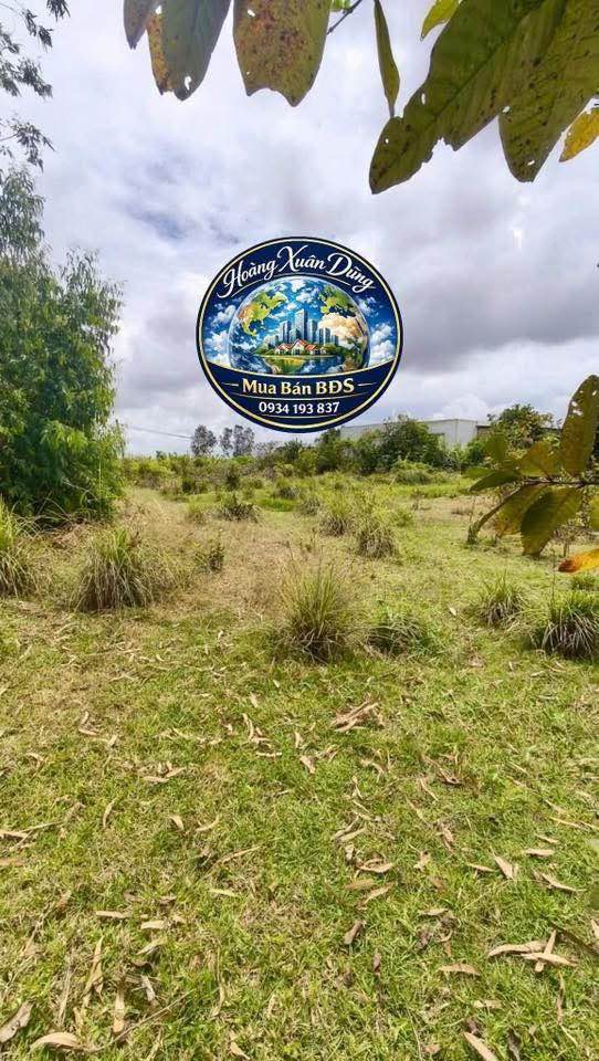 Đất thổ cư 155m² view kênh tại Tân Phú Đông, Tiền Giang - Chỉ 175 triệu