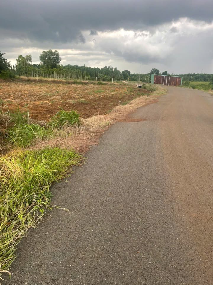 Nhà phố Xã Đá Bạc 74m² - Mặt tiền kinh doanh, đầu tư sinh lời!