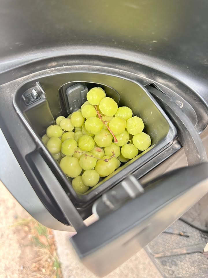 Đất Vườn 1000m² Sổ Riêng - Bình Phước Chỉ 700 Triệu