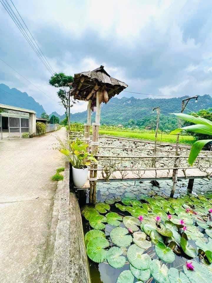 Đất nền Ngọc Hà, Hà Giang 140m² - Tiềm năng tăng giá cực tốt!