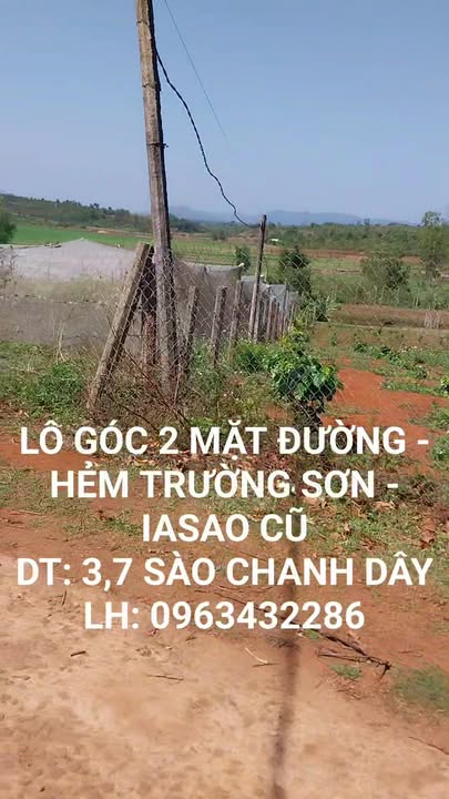 Bán Đất Vườn 3700m² Ia Sao, Chư Prông - Vườn Chanh Dây Trĩu Quả, Sẵn Sàng Khai Thác