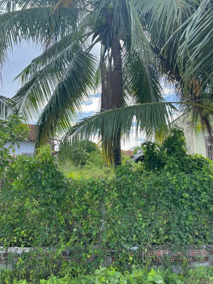 Bán Đất Vàng Diên Khánh 200.5m² - Giá Tốt 930 Triệu, Sổ Đỏ Sẵn Sàng!