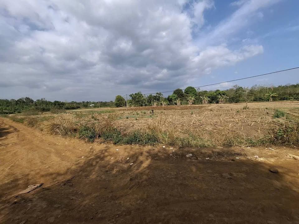 Bán Đất Vườn Đắk Lắk 1080m² Sổ Hồng - Giá Đầu Tư 600 Triệu