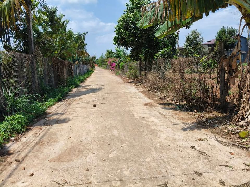 Đất nền Ea Na 200m² - Sổ đỏ chính chủ, xây dựng tự do!