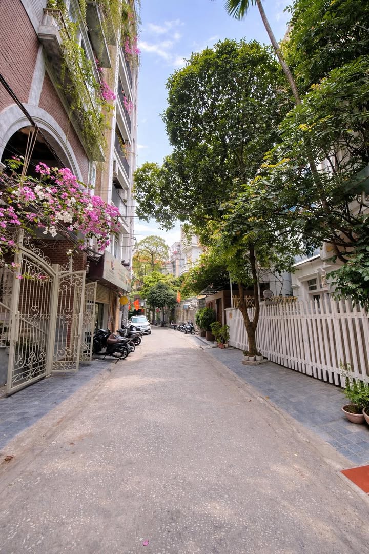 Nhà phố Liễu Giai Ba Đình 100m² - Dòng tiền 160 triệu/tháng!