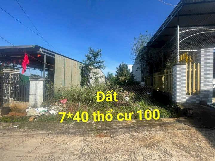 Đất Nền 280m² Mặt Tiền Đường Bê Tông - Sổ Đỏ Chính Chủ Gia Nghĩa