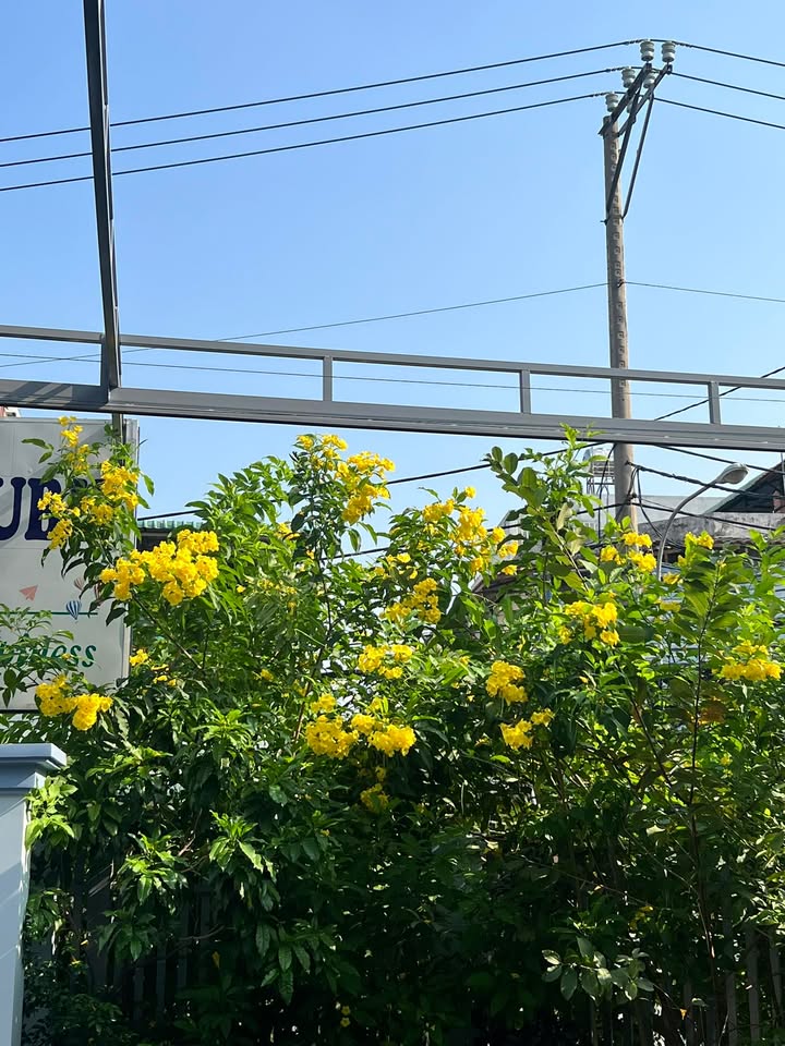 Nhà Phố Lô Góc Bình Tân 213m² 24 tỷ - Dòng tiền ổn định 65 triệu/tháng!