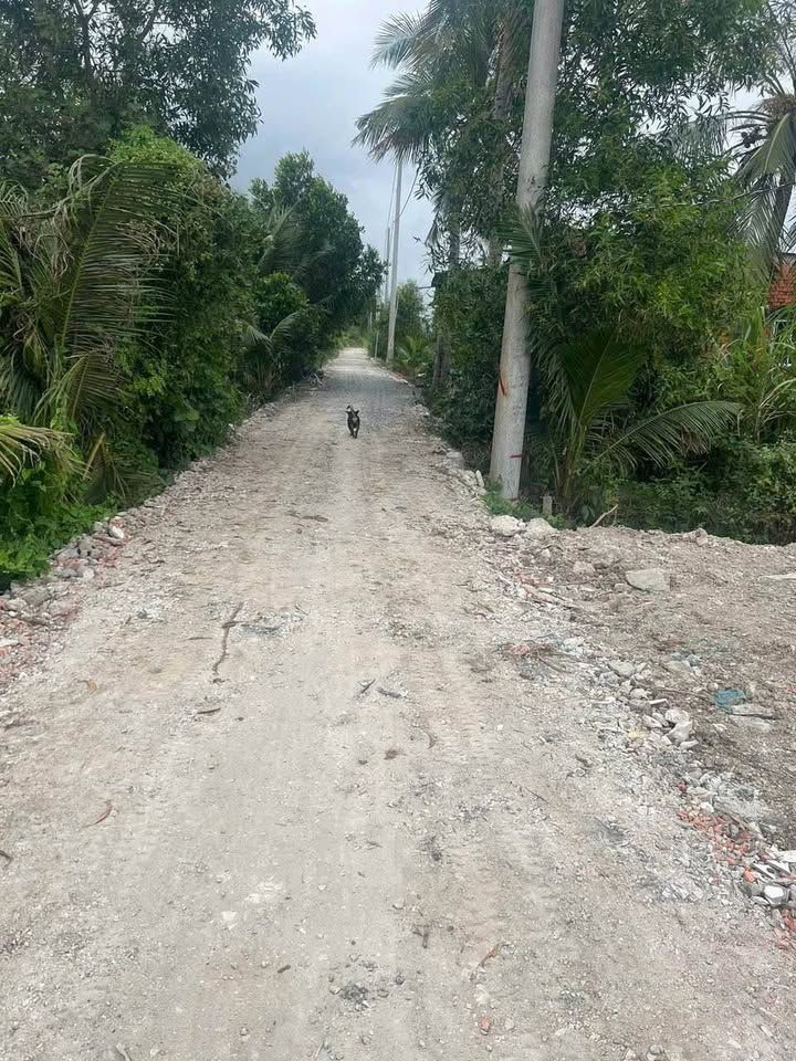 Đất nền Lương Hòa Bến Lức 2750m² - Giảm sâu 200 triệu, xe tải vào tận nơi!