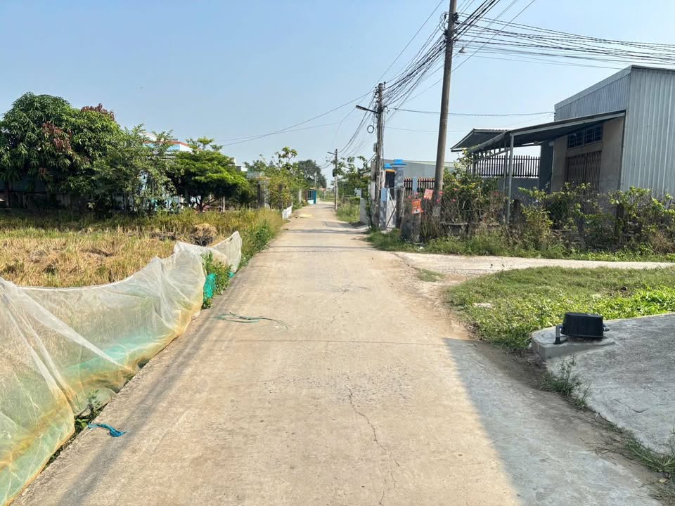 Bán Gấp 5 Lô Liền Kề Hóc Nghệ, Long Cang - Sổ Hồng Riêng 120m²