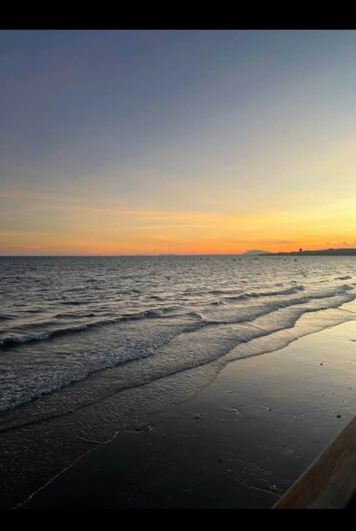 Đất Mặt Tiền Nguyễn Đình Chiểu 400m² - Cơ Hội Kinh Doanh Đắc Địa!