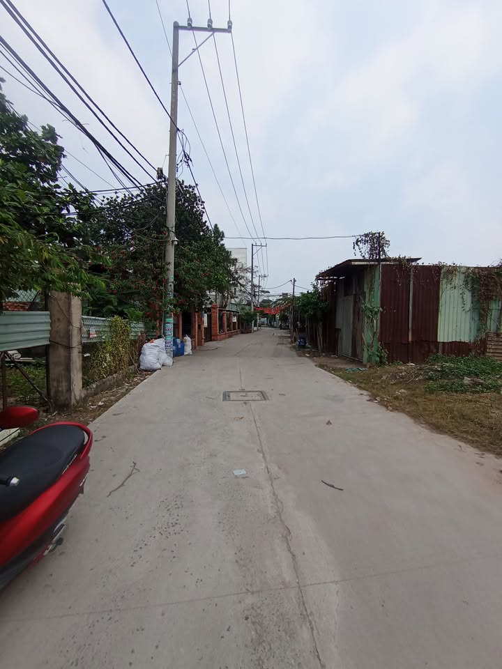 Đất Nền Bình Chánh 1500m² - Bán Gấp, Sổ Đỏ Riêng 11 Tỷ