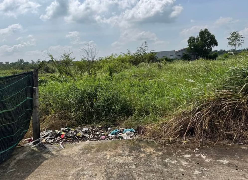 Đất Thổ Cư 135m² Mặt Tiền Kênh Giá 770 Triệu - Tân An, Long An