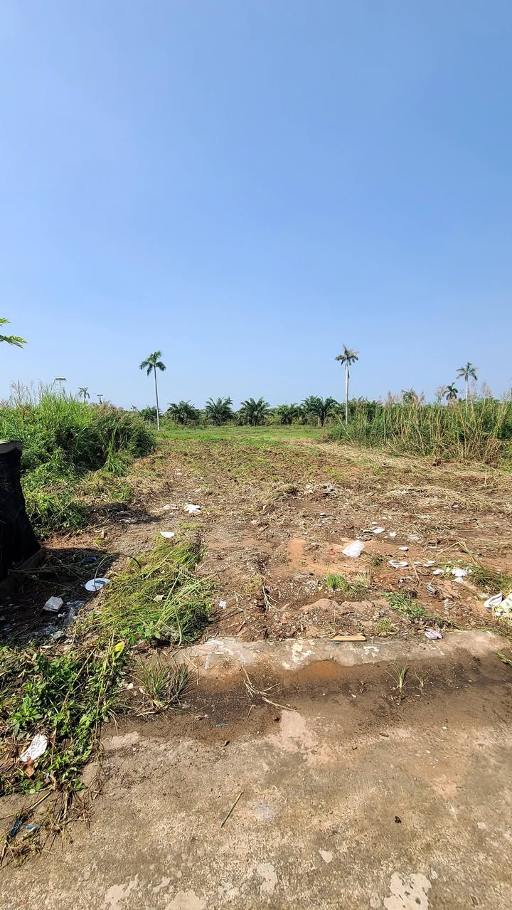 Đất nền Đức Hòa, Long An 125m² - Đất thổ cư 100%, đường nhựa 12m!