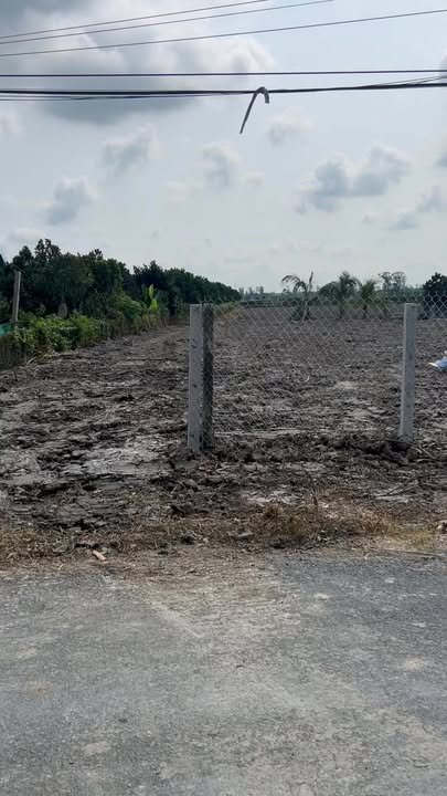 Đất nền 9000m² Cai Lậy, Tiền Giang - Đường to ô tô, tiềm năng lớn!