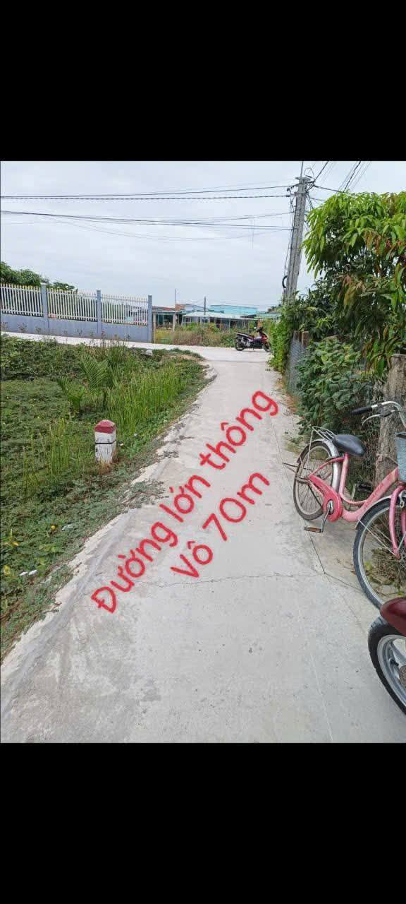 Bán Đất Vườn 207m² Tân Chánh, Cần Đước - Sổ Hồng Riêng, Giá Đầu Tư 300 Triệu