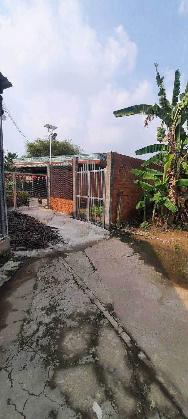 Đất Thổ Cư Tân An 189m² - Hẻm Chùa Ông, Sẵn Sổ Hồng