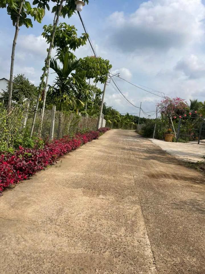 Đất nền Bảo Vinh Long Khánh 570m² 990tr - Thổ cư 100%