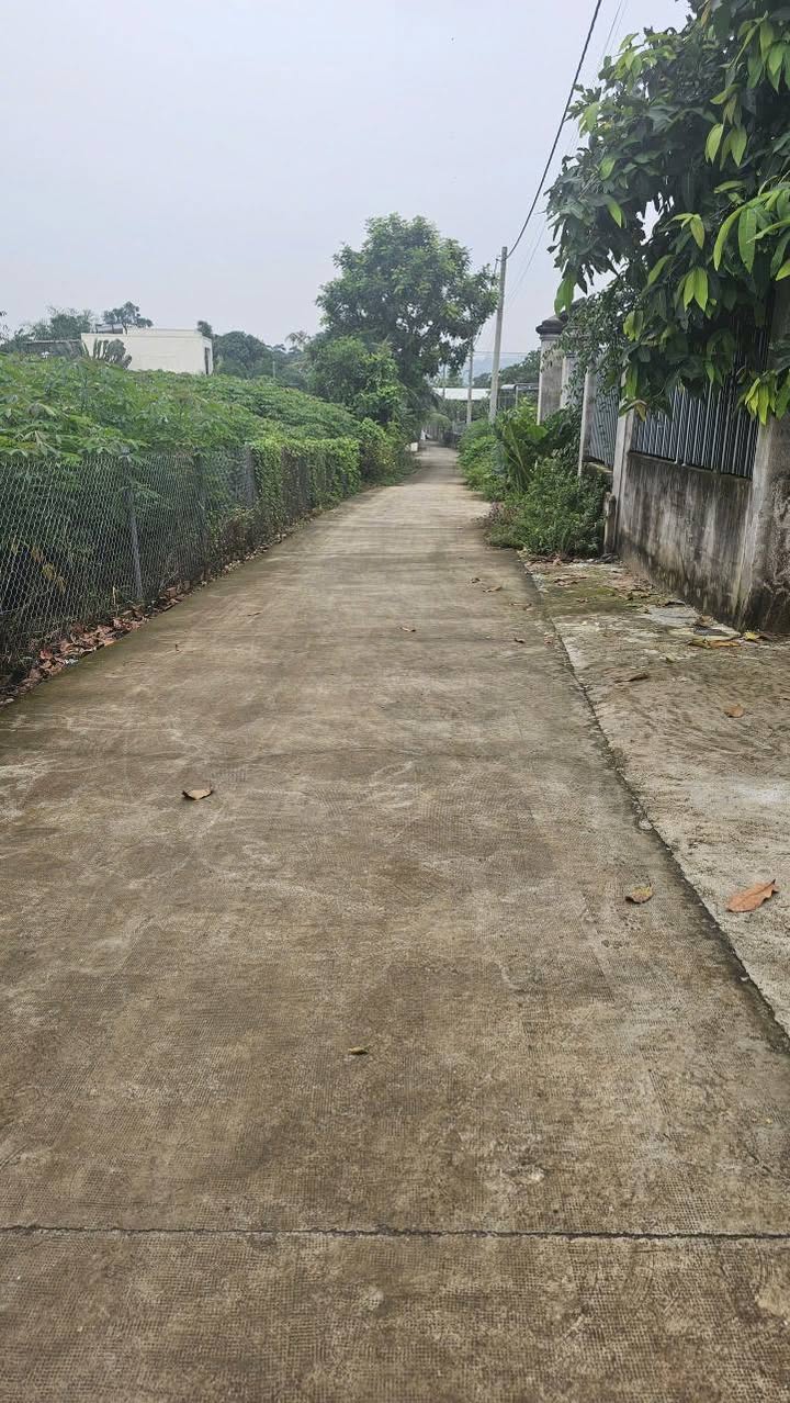 Đất Nghĩa Thành Châu Đức 260m² 1,55 tỷ - Sổ đỏ chính chủ