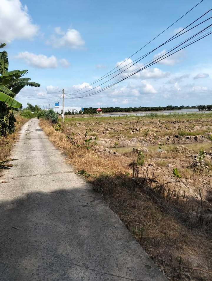 Đất nền Mỹ Ngãi, Cao Lãnh 1125m² - Tiềm năng tăng giá vượt trội!