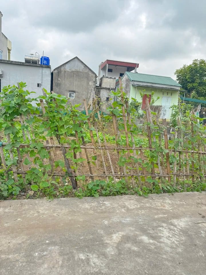 Đất nền Khánh Nhạc, Yên Khánh 119m² giá từ 1.2 tỷ - Tiềm năng tăng giá!