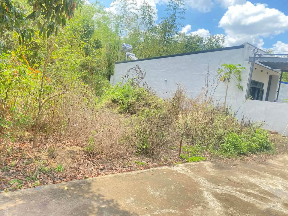 Đất nền Tân Xuân Đồng Xoài 100m² - Giá chỉ 4xx triệu, đầu tư sinh lời