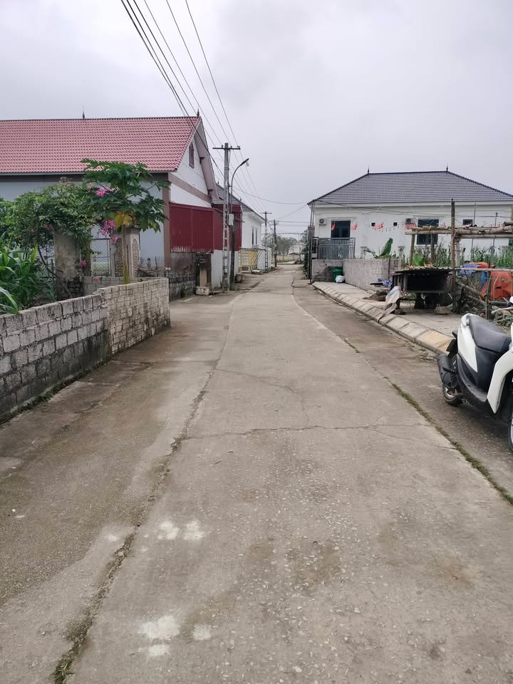 Bán Đất Vàng Xã Tiến Nông, Triệu Sơn - 100m² Sổ Đỏ, Giá Chỉ 5xx Triệu