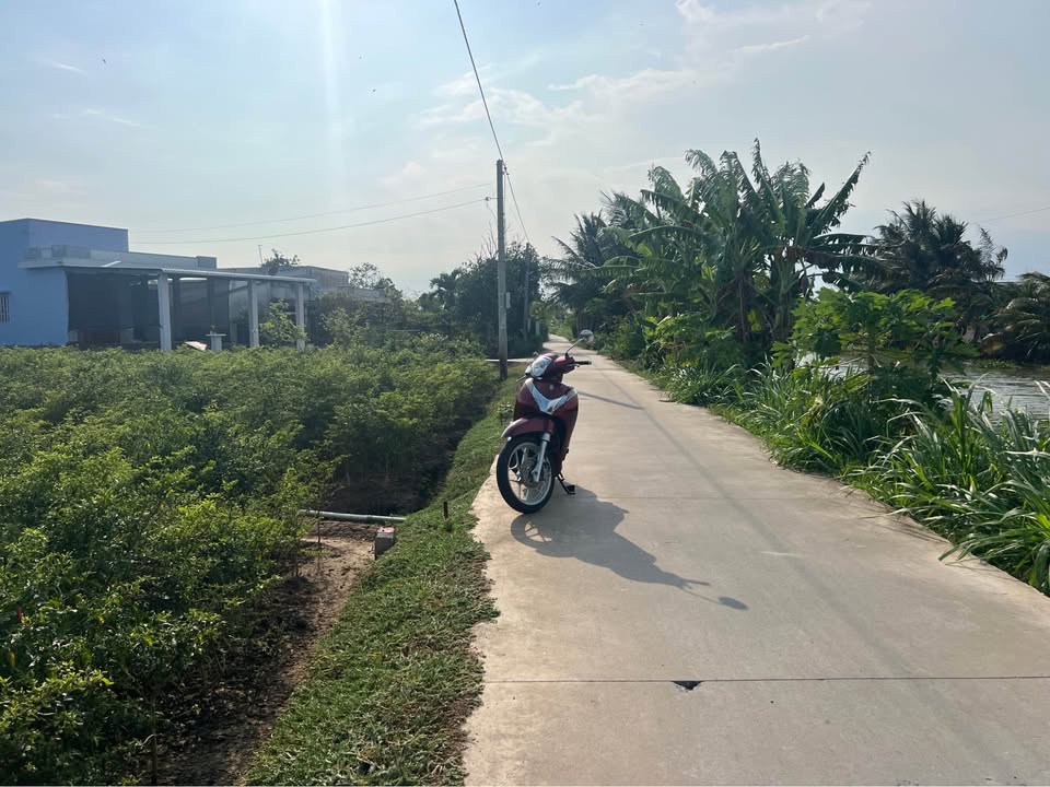 Đất thổ cư Gò Công Đông 181.5m² - Sổ đỏ chính chủ, giá 380 triệu