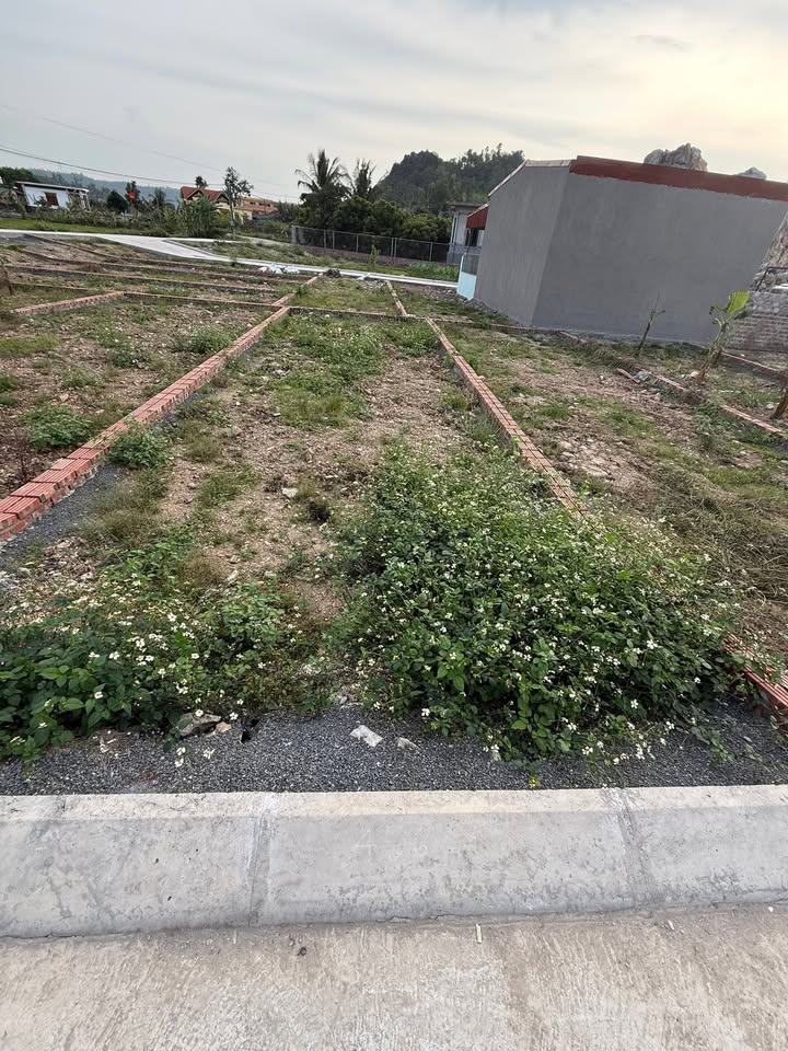 Đất nền Thủy Nguyên 60m² - Sổ đỏ thổ cư, ô tô vào tận nơi