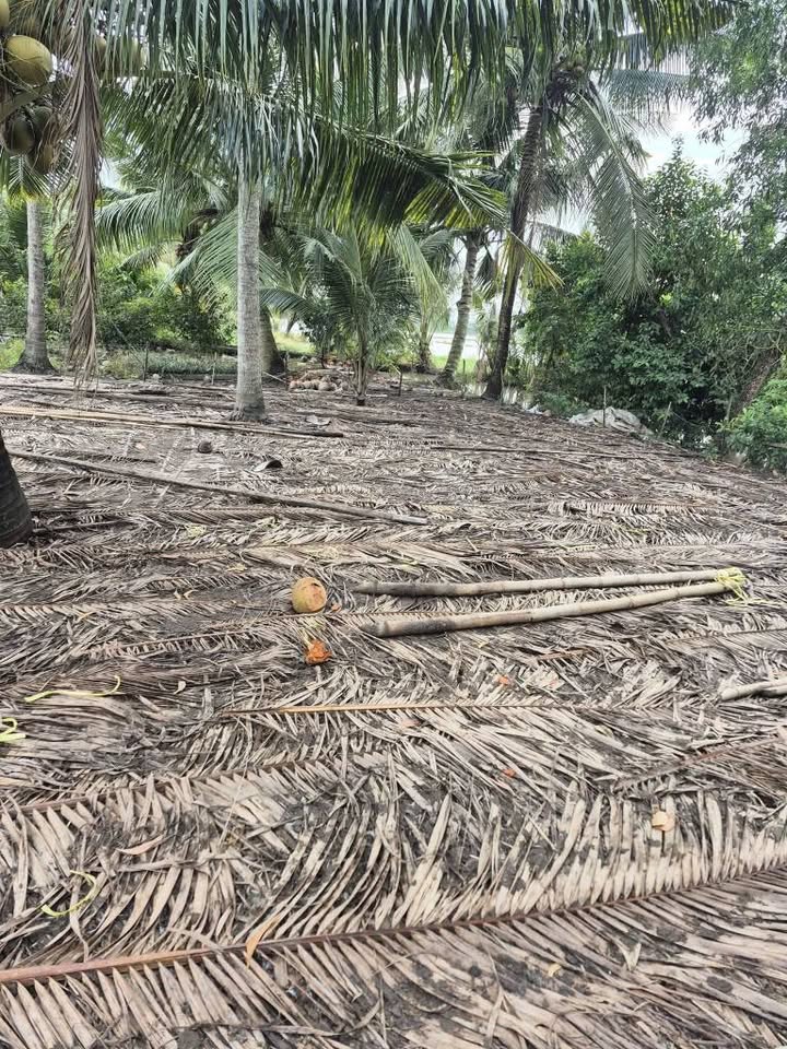 Đất nền Long Thạnh 1225m² giá 250 triệu - Tiềm năng tăng giá!