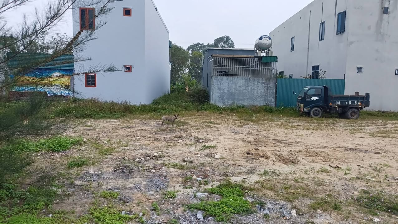 Đất Biệt Thự 200m² Hoằng Hóa, Thanh Hóa - Giá Chỉ 1.2 Tỷ