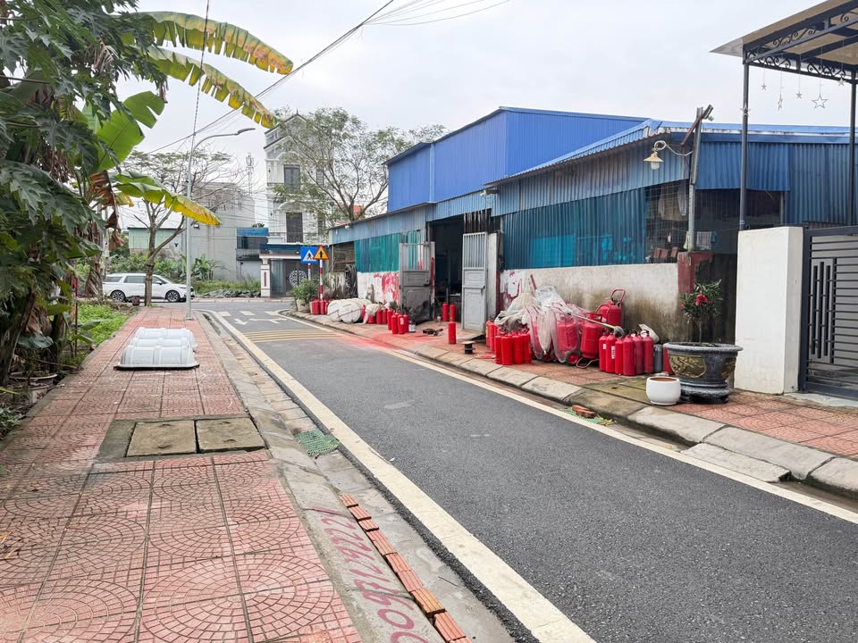 Đất nền Nam Sơn, An Dương 50-55m² chỉ từ 1.x tỷ - Sổ đỏ chính chủ!