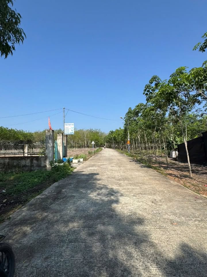 Đất Nền 280m² Lai Uyên, Bàu Bàng - Sổ Đỏ, Gần QL13 & DT741C