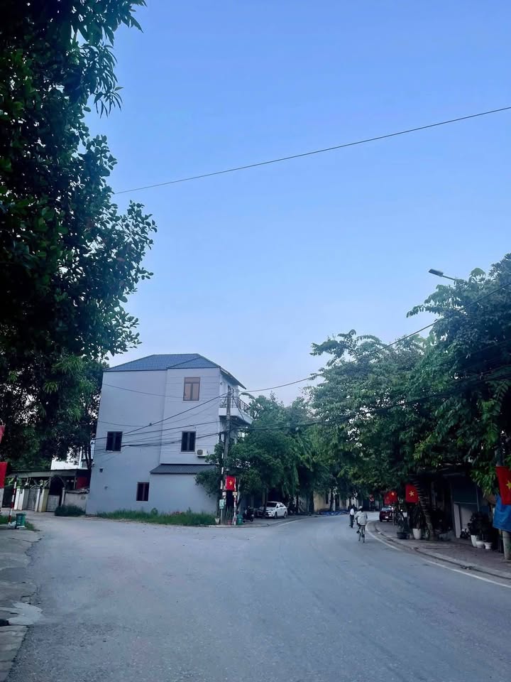 Đất Vàng An Tường 213m² - Sổ Đỏ Vuông Vắn, Giá 1 Tỷ Tốt