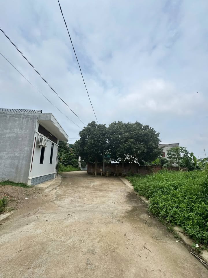 Đất nền Đường Nguyễn Du Việt Trì 98m² - Sổ đỏ chính chủ!