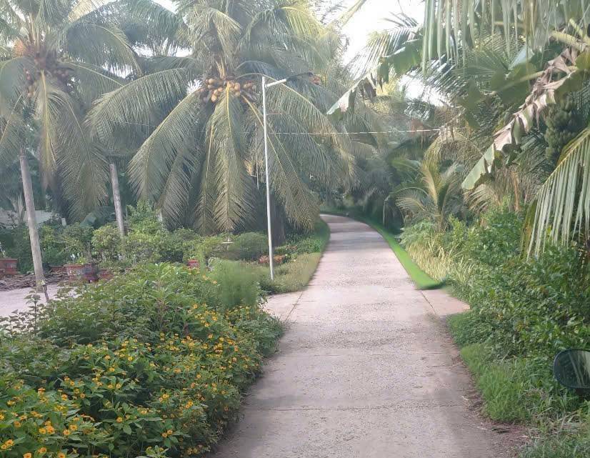 Đất nền Vĩnh Long 434m² giá 260 triệu - Đất thổ cư 100%!