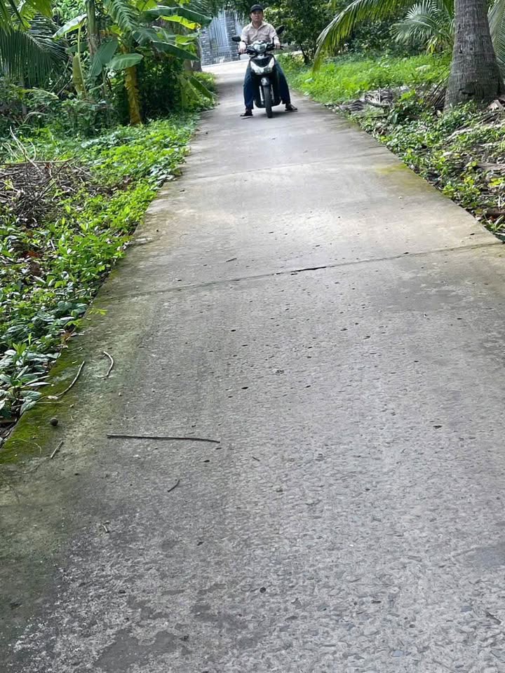 Đất vườn Long Hòa 8000m² Bình Đại - Tiềm năng tăng giá lớn!