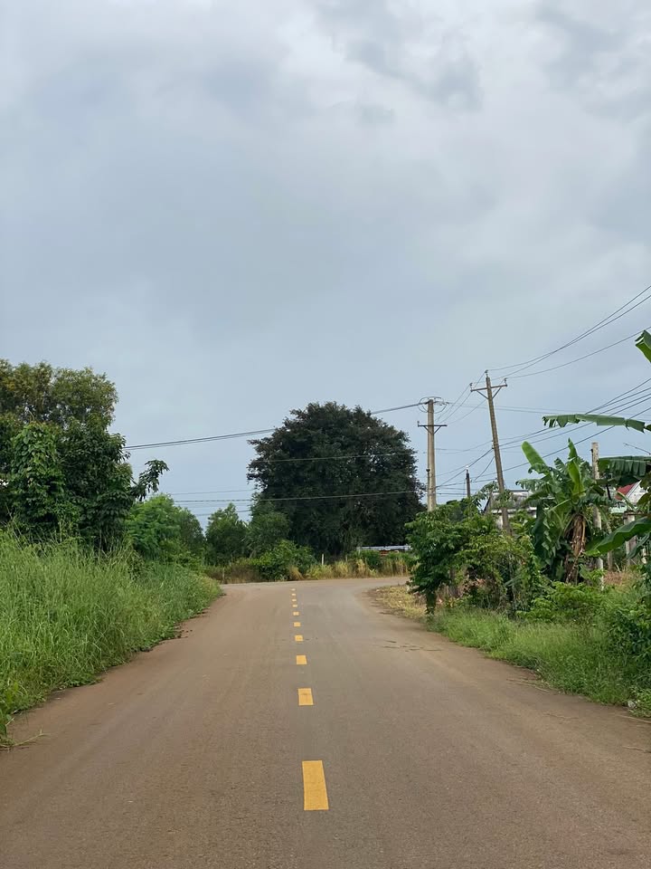 Đất Vàng 2450m² Mặt Tiền Đường Chính, Hướng Sân Bay Long Thành - Giá 2.3 Tỷ