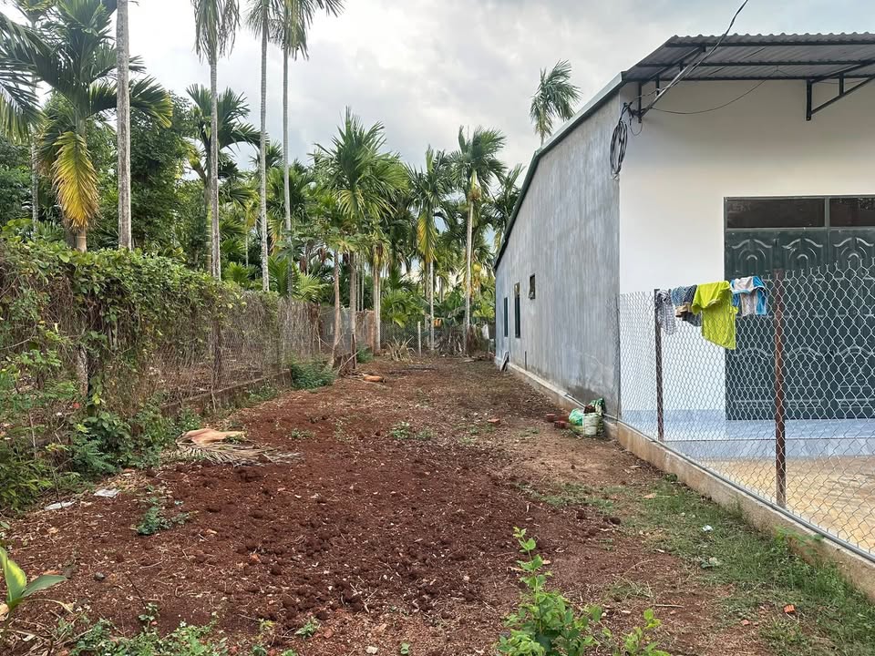 Đất nền Quảng Điền, Krông Ana 150m² - Sổ đỏ chính chủ, giá chỉ 2xx triệu!