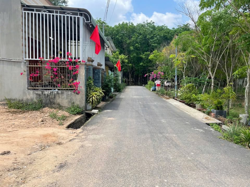 Nhà Mặt Tiền Nhựa Đồi 61, Trảng Bom - 105m² Sổ Riêng Thổ Cư, Giá 1.55 Tỷ