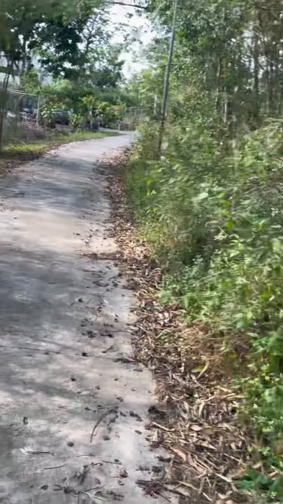 Đất nền Bửu Hòa, Biên Hòa 200m² giá 420 triệu - Tiềm năng tăng giá!