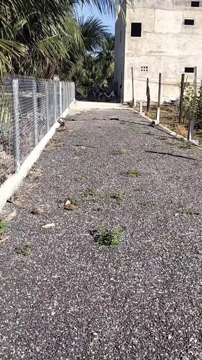 Đất Nền Diên Sơn 104m² Sổ Hồng Sẵn - Giá Đầu Tư 739 Triệu